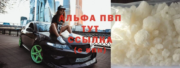 сатива Магас